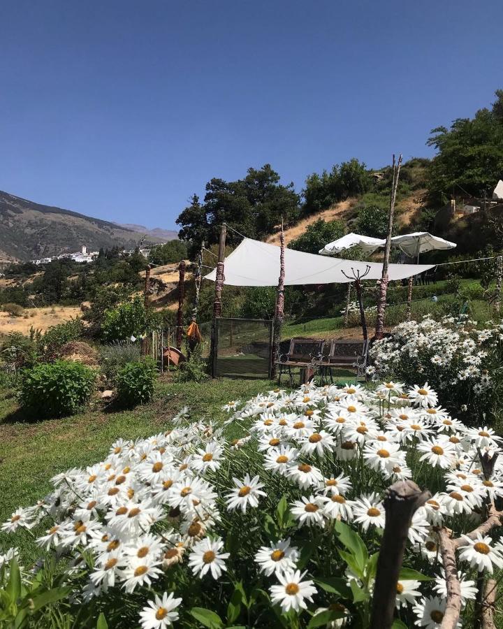 "Casa Ibero" Bubion, Alojamiento Turistico Rural Extérieur photo