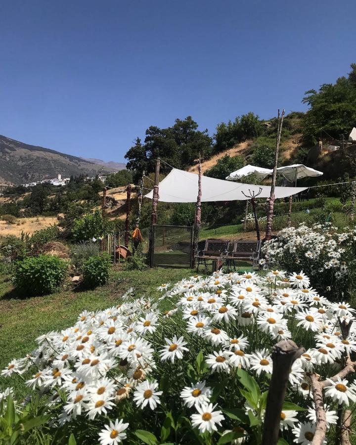 Maison d'hôtes "Casa Ibero" Bubion, Alojamiento Turistico Rural Extérieur photo