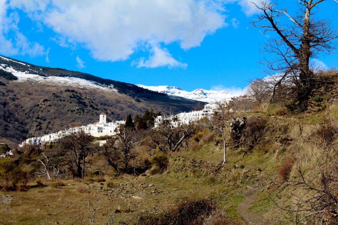 "Casa Ibero" Bubion, Alojamiento Turistico Rural Extérieur photo
